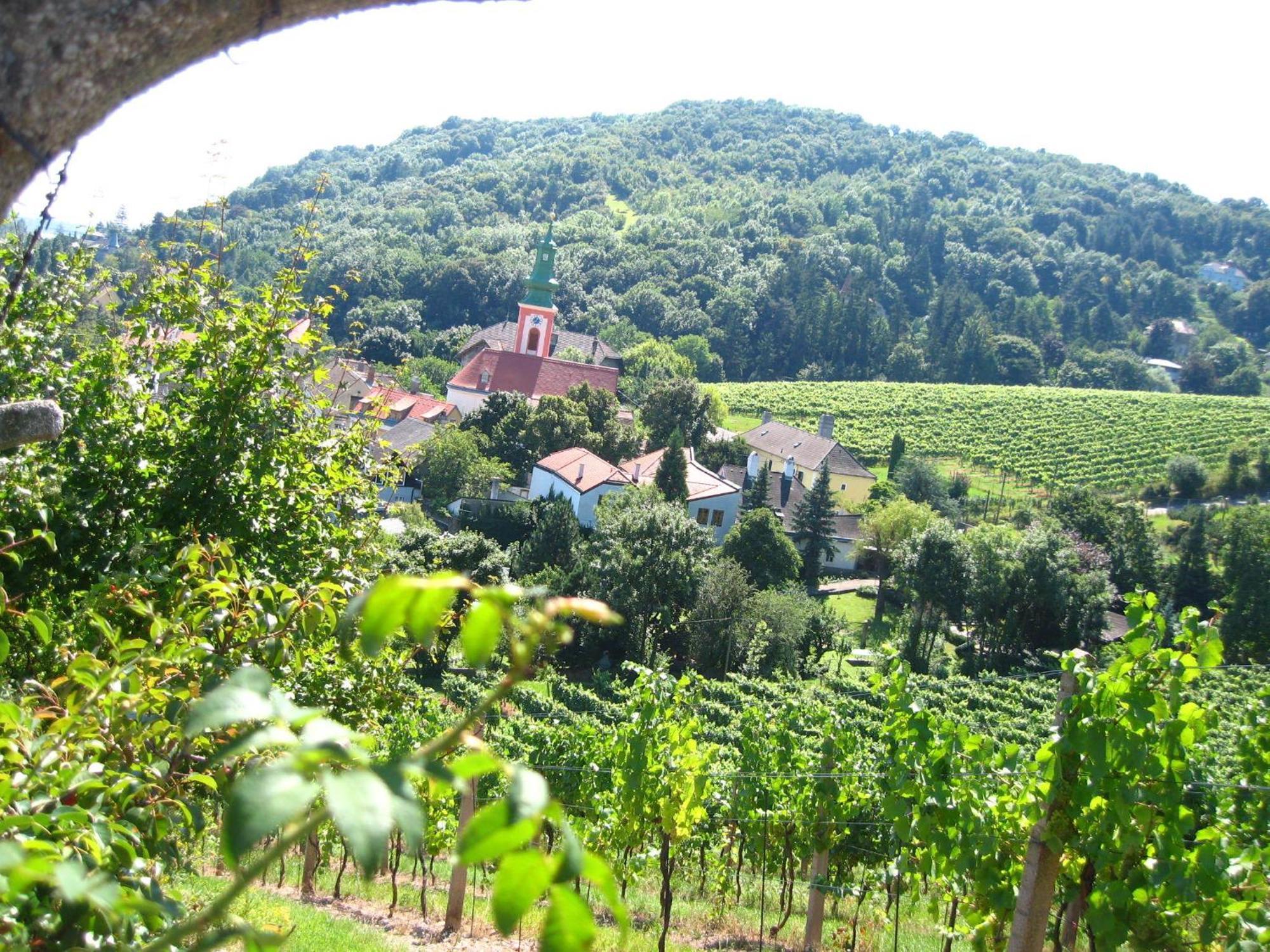 Vienna Cottage Ngoại thất bức ảnh